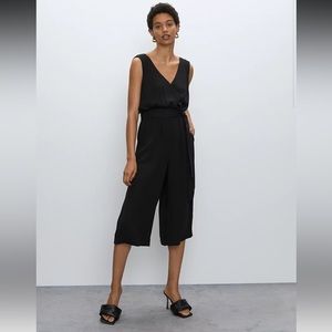 Aritzia Babaton Maximillian Jumpsuit